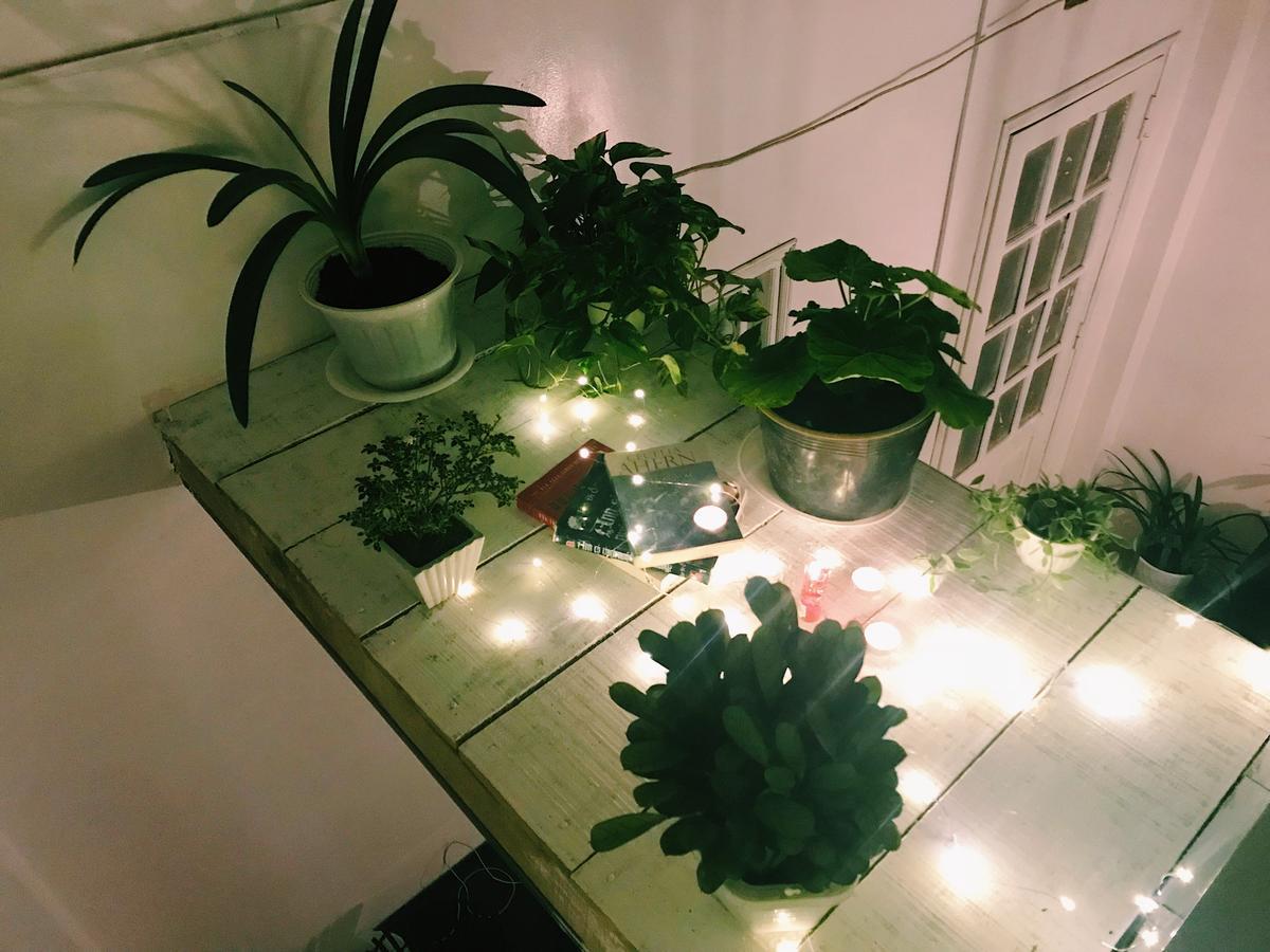 The Balcony Bnb Da Lat Zewnętrze zdjęcie